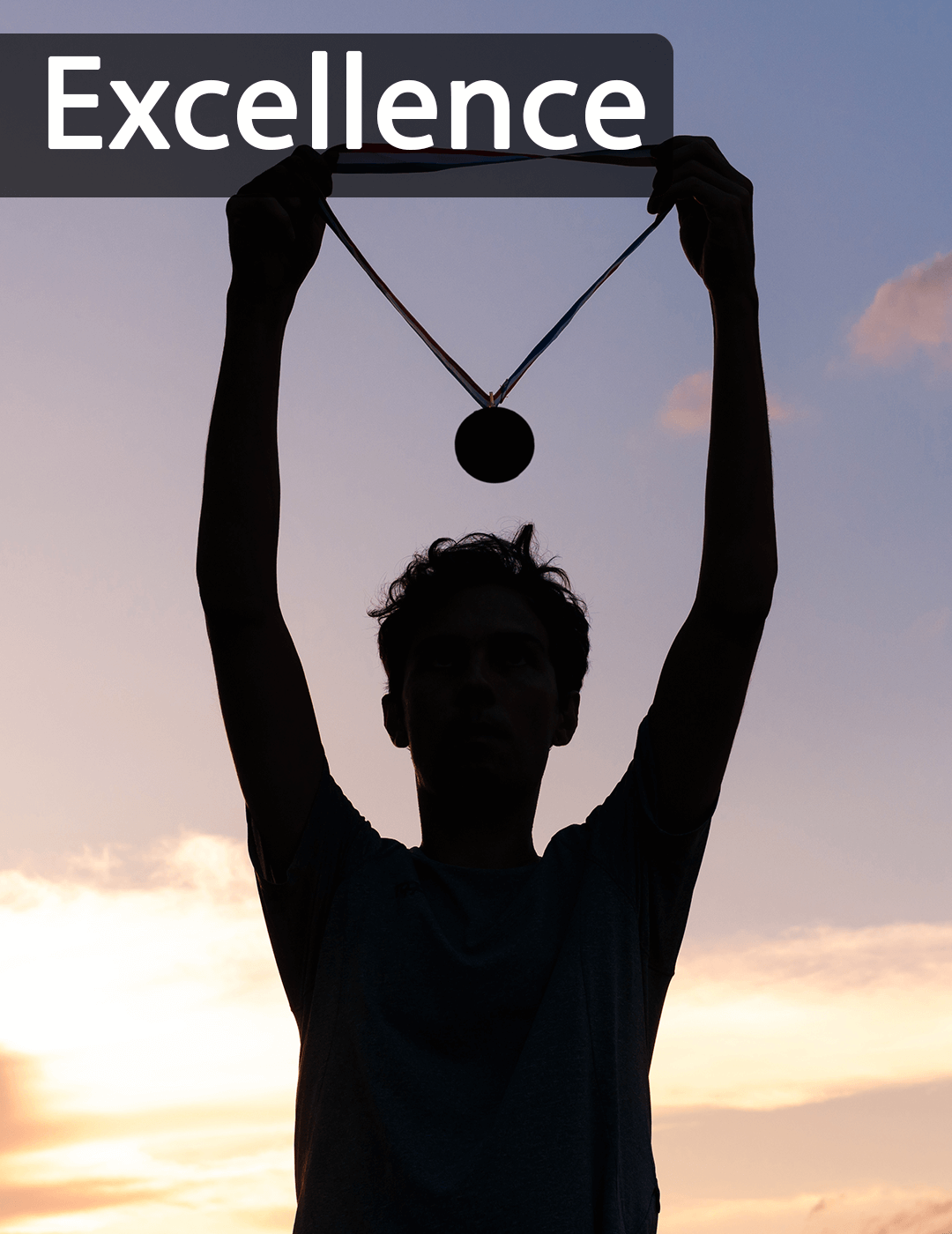 Valeur Optisigma - Excellence